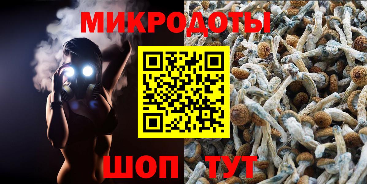 Псилоцибиновые грибы Magic Shrooms Луховицы