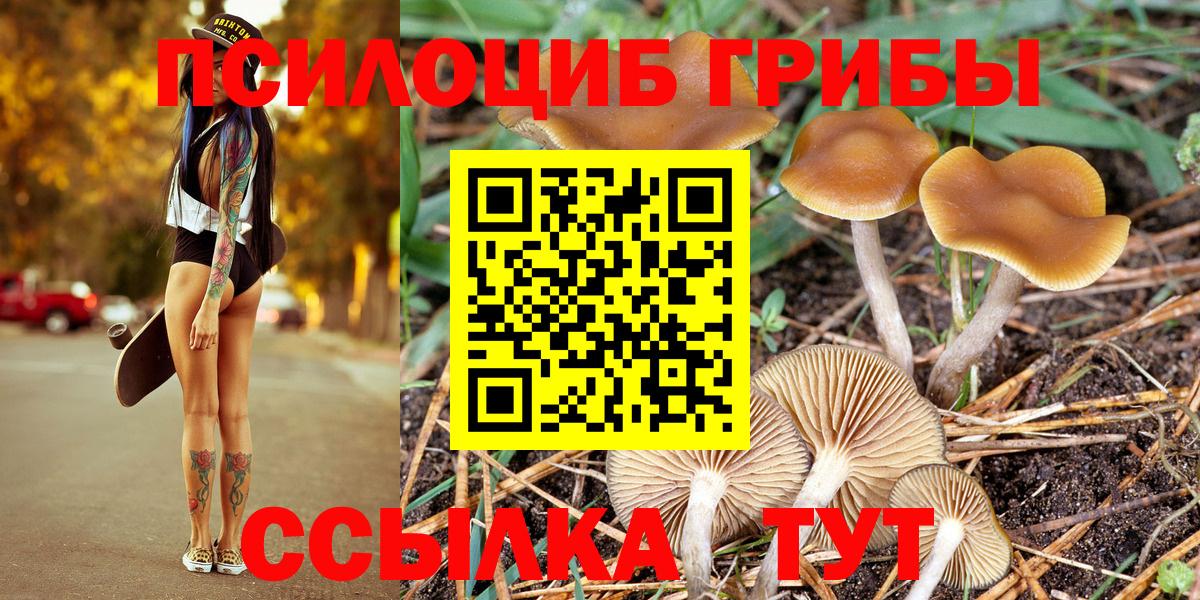 Галлюциногенные грибы Psilocybe  Вход с VPN  Луховицы 